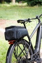 newlooks trunk mik