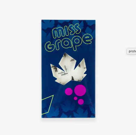[PRTK] MISS GRAPE kit de protection