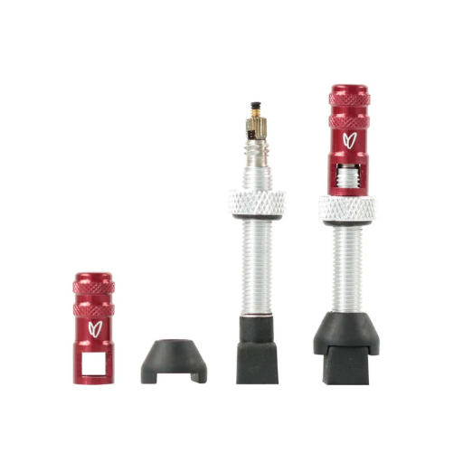 [EMCHCV2] Effetto Mariposa - Caffelatex Tubeless Valves silver 40mm (x2)